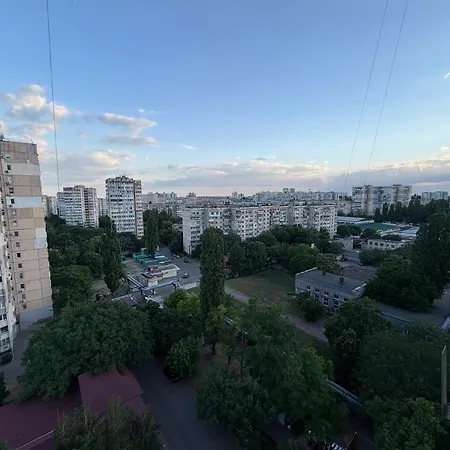 Comfort Family * Odesa